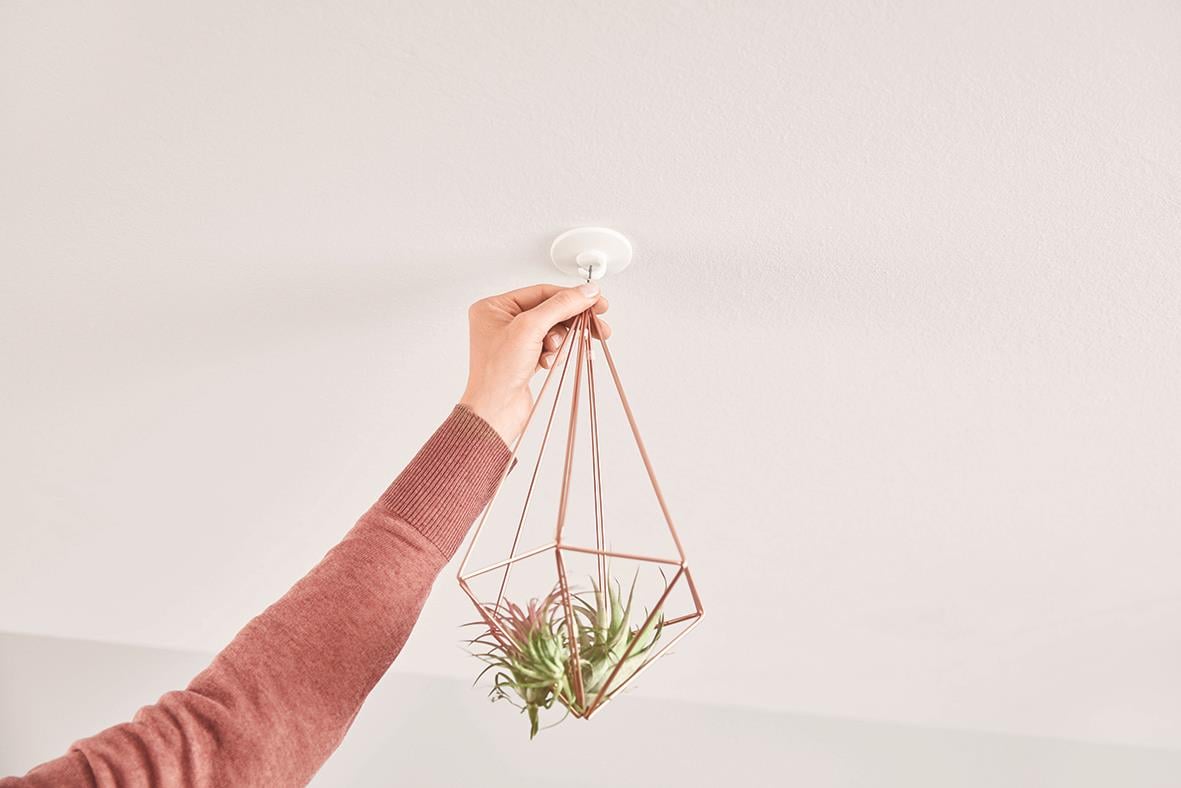 Person som sätter upp en självhäftande takkrok med växt i en vas på väggen