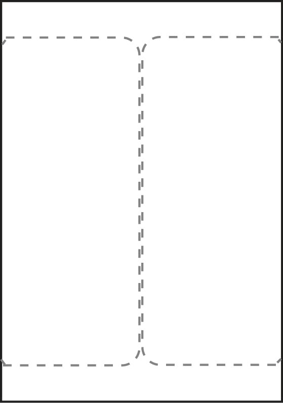 Transportetikett för laserutskrift för DHL/DSV, A4, 105x220mm, två ark