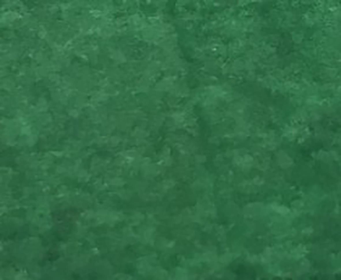 Mörkgrön silkespapper 17g, ca 470 ark/bunt, 50x75cm, 3kg