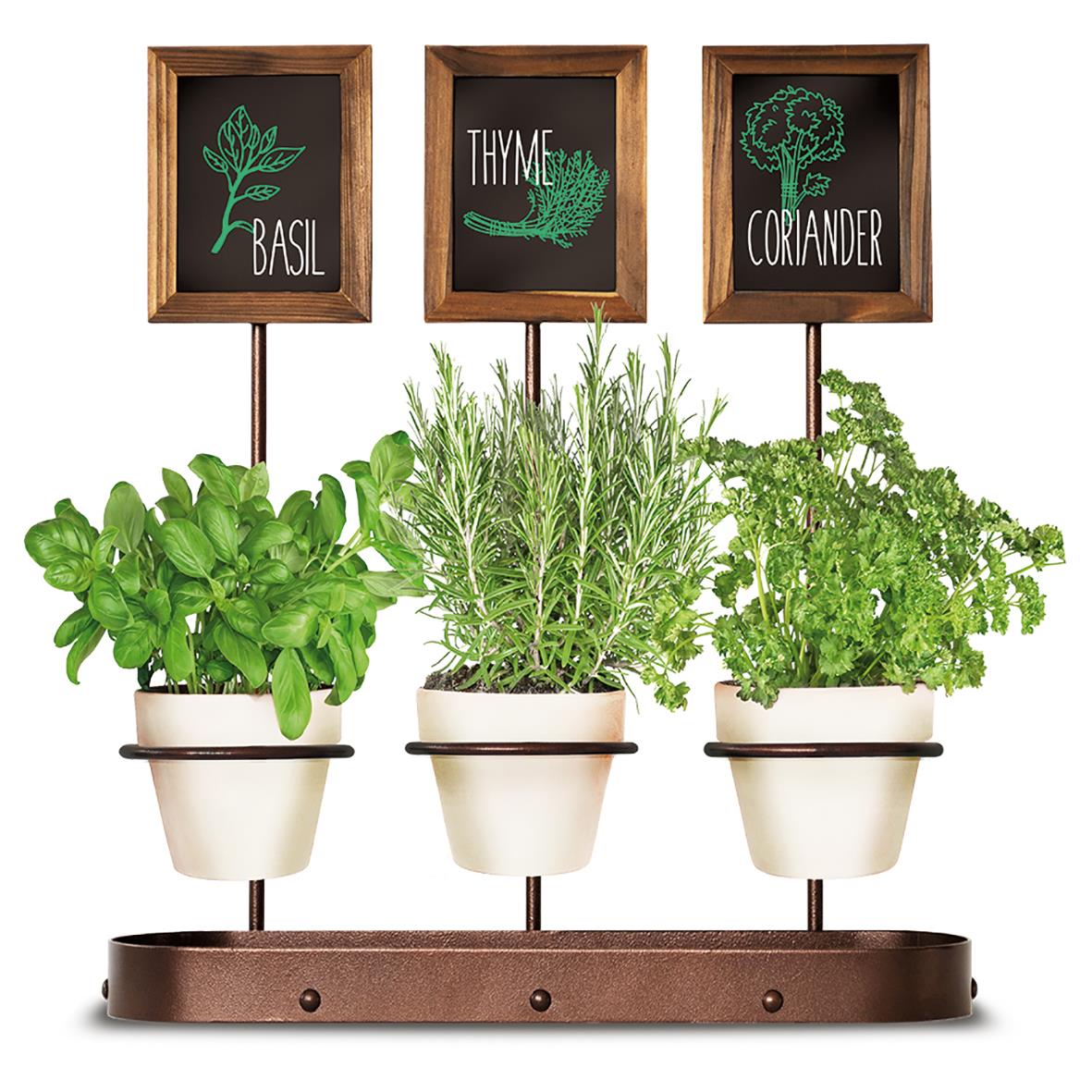 Skärmar med tre flaskor för kryddor och örter, 45x11cm, med gröna växter och griffeltavlor för basilika, timjan och koriander