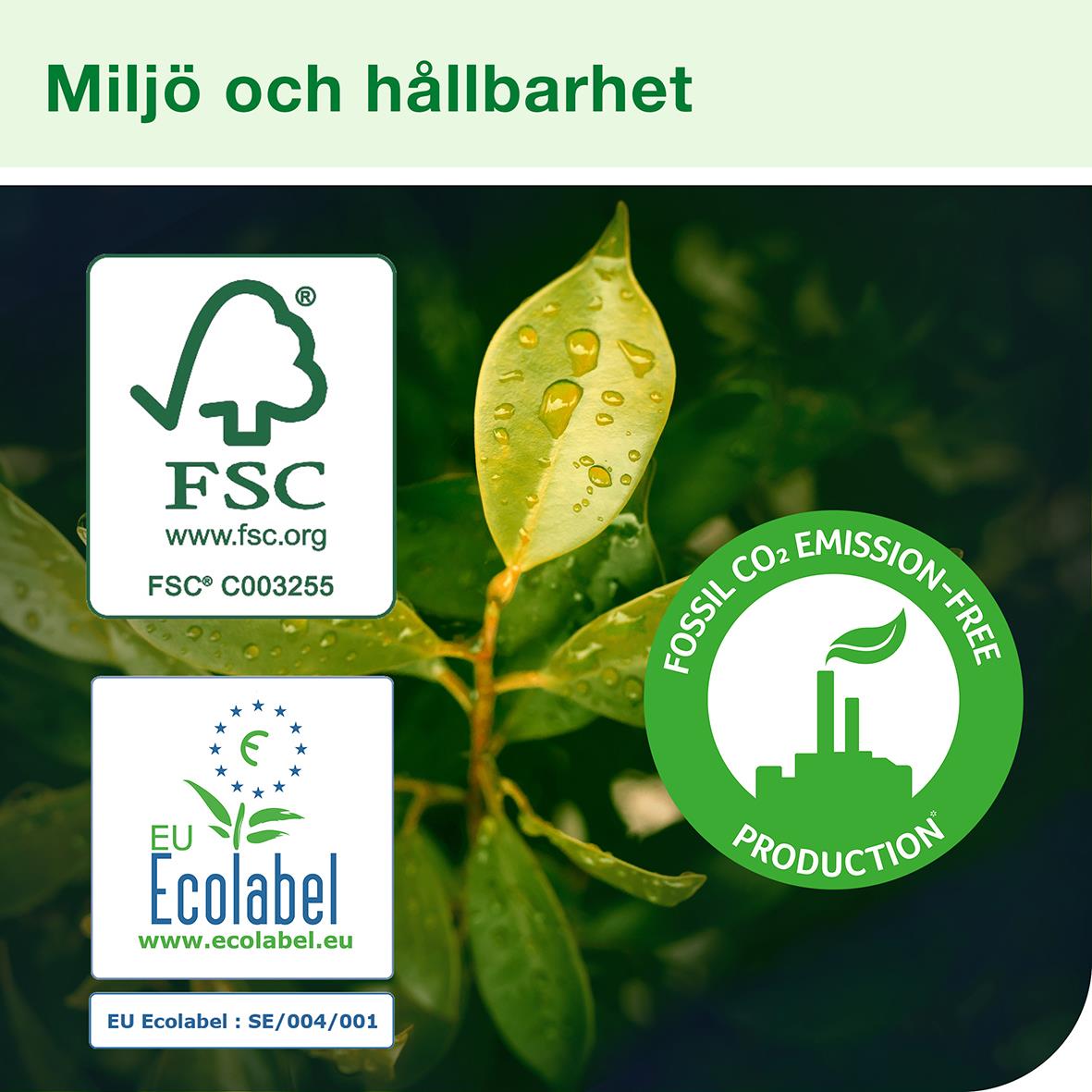Miljömärkt FSC och EU Ecolabel för hållbarhet, bild på en grön växt med vattendroppar och miljömärken