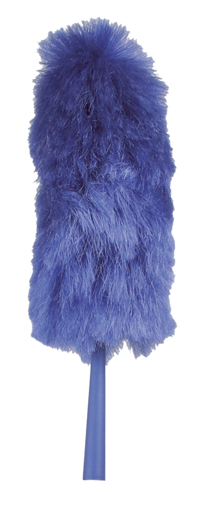 Blå dammvippa med lång skaft, max 60cm