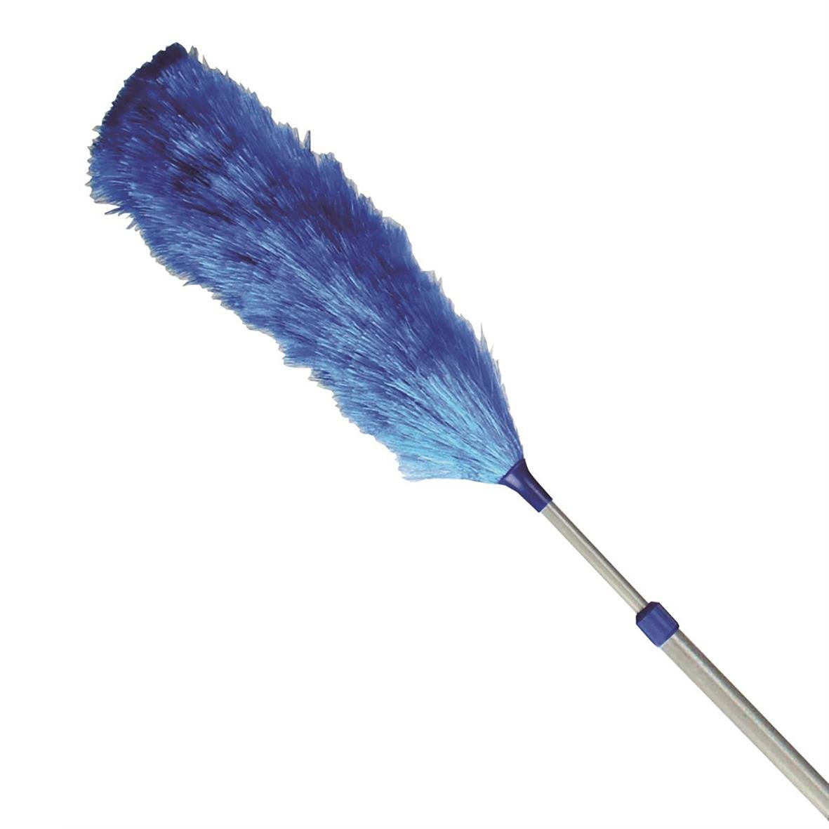 Blå dammvippa med lång skaft och mjuka borst