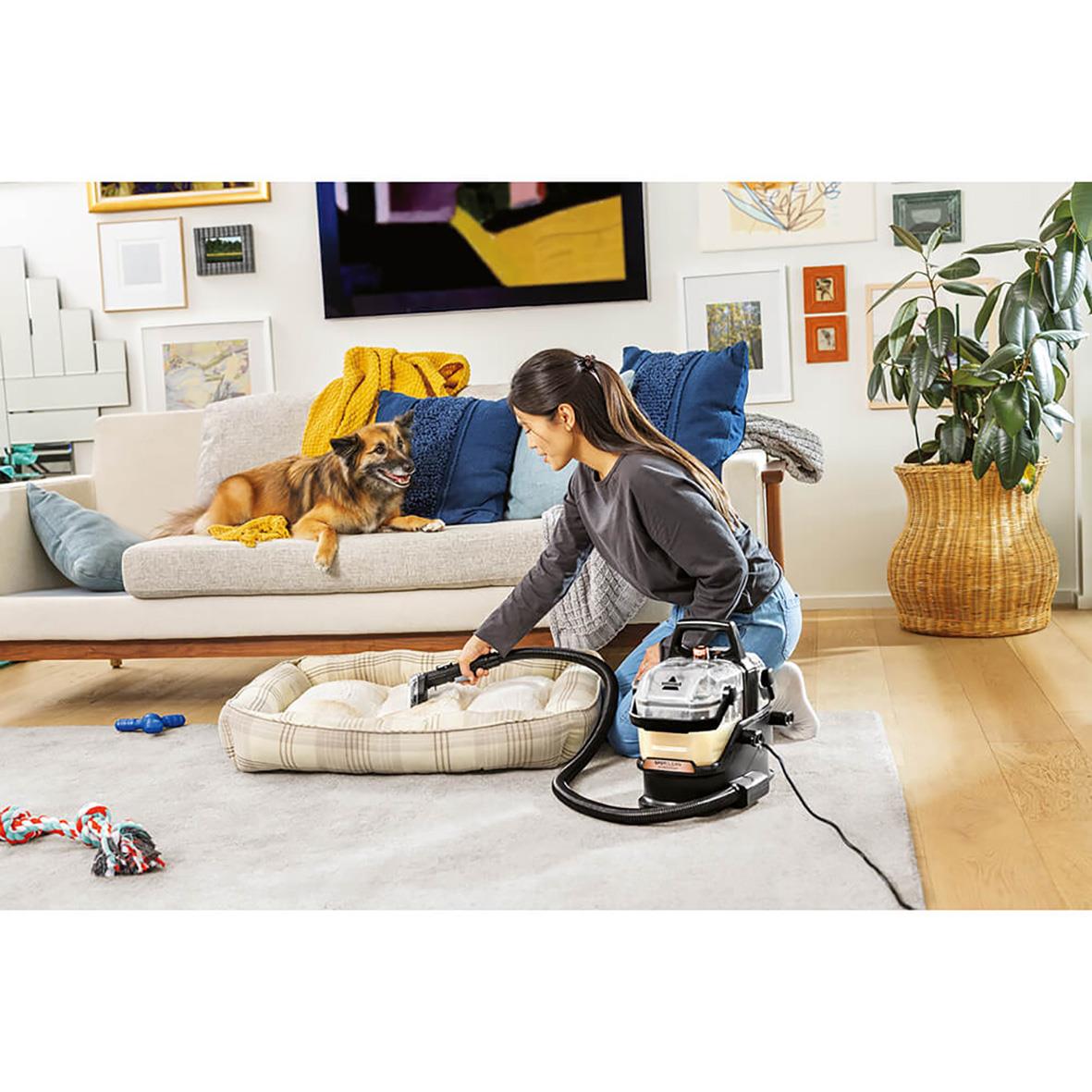 Kvinna rengör hundsäng med Bissell Spotclean Hydrosteam Pro i vardagsrum