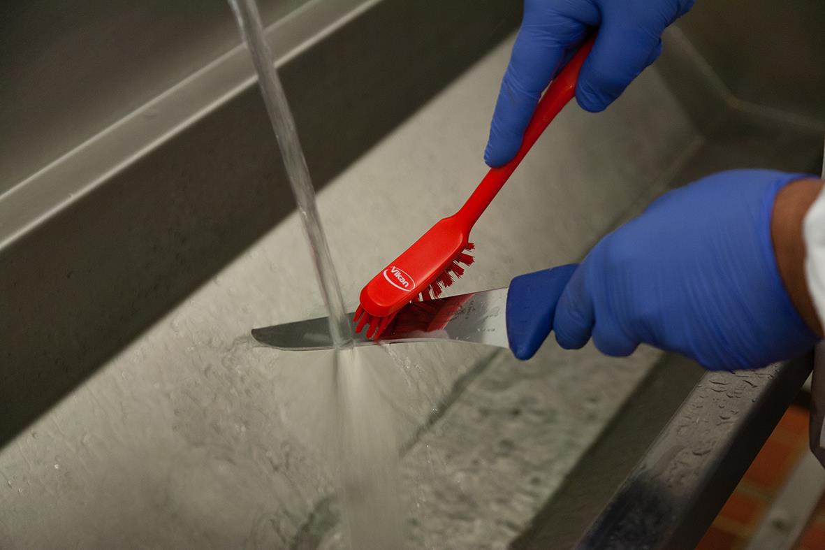 Person som rengör en disk med en blå diskborste under rinnande vatten