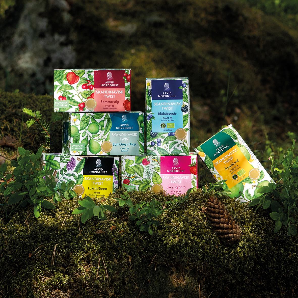 Rooibos te i olika smaker från Arvid Nordquist placerade i en skogsmiljö