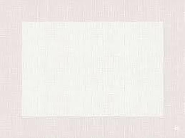 Vit Duni Dunicel Linnea plastbricka 30x40cm