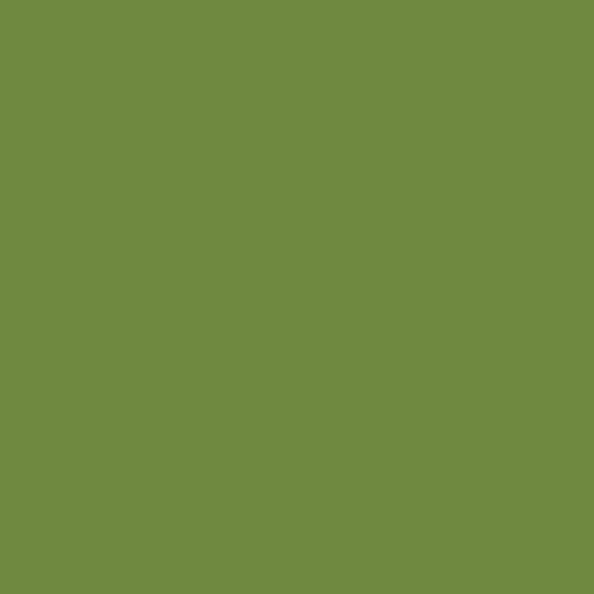 Servett Duni 3-lag Leaf Green 33x33cm