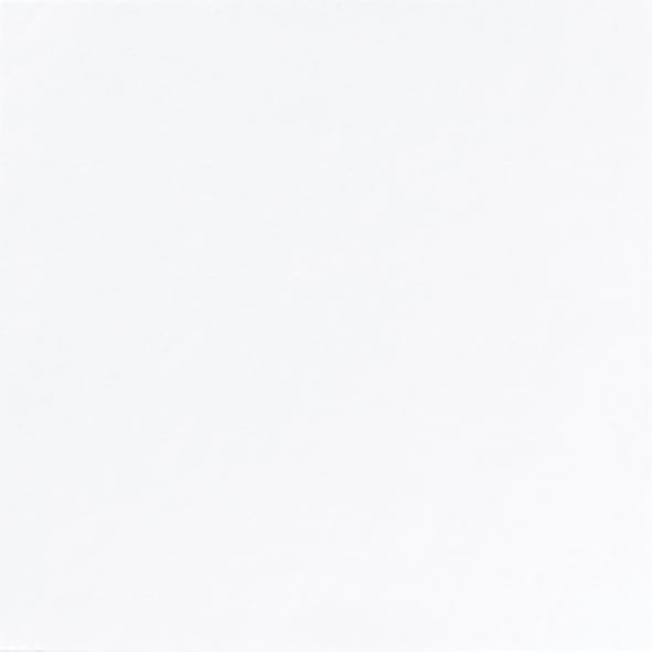 Vit servett Duni Dunilin 48x48cm