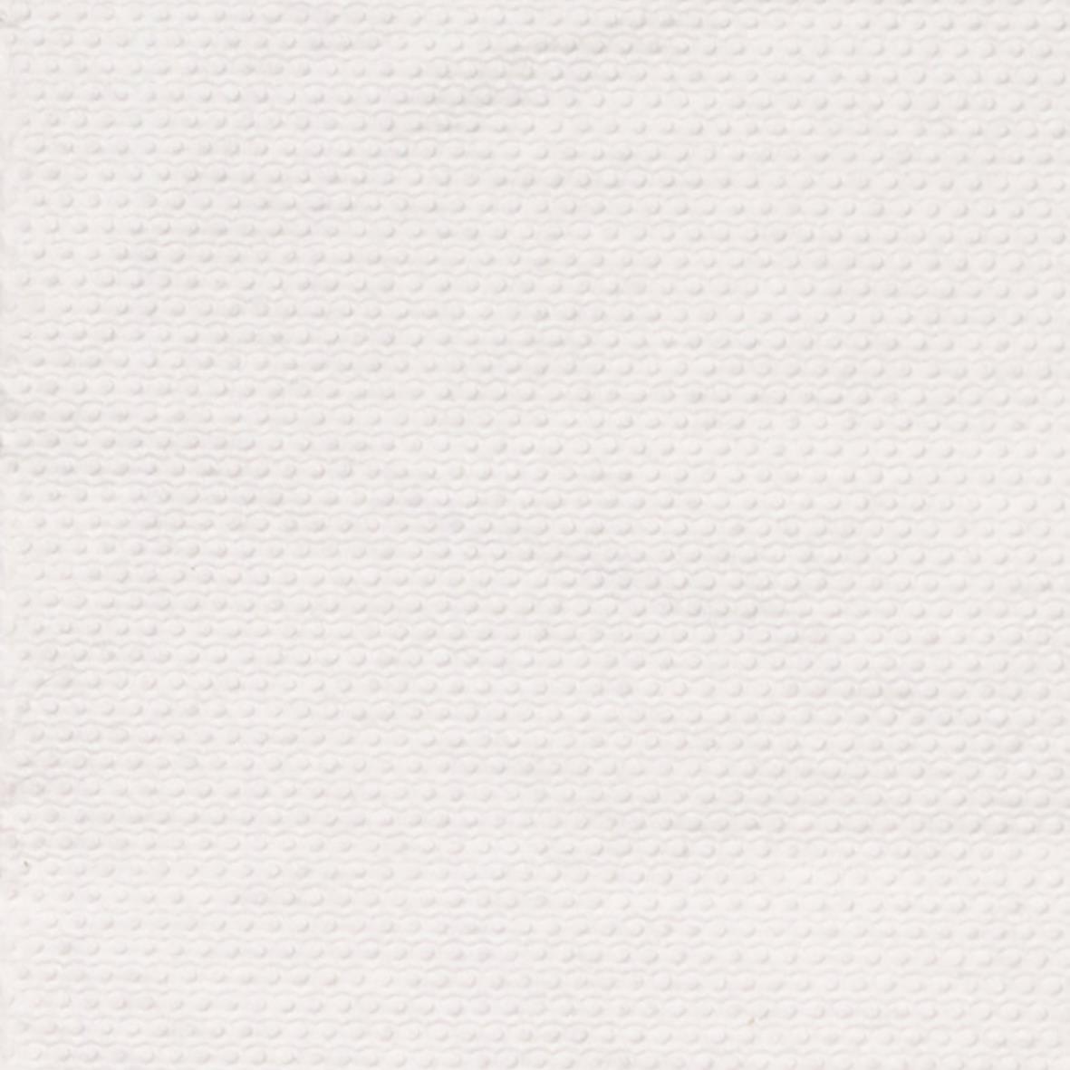 Vit engångsservett i ett lager med måtten 24x24cm