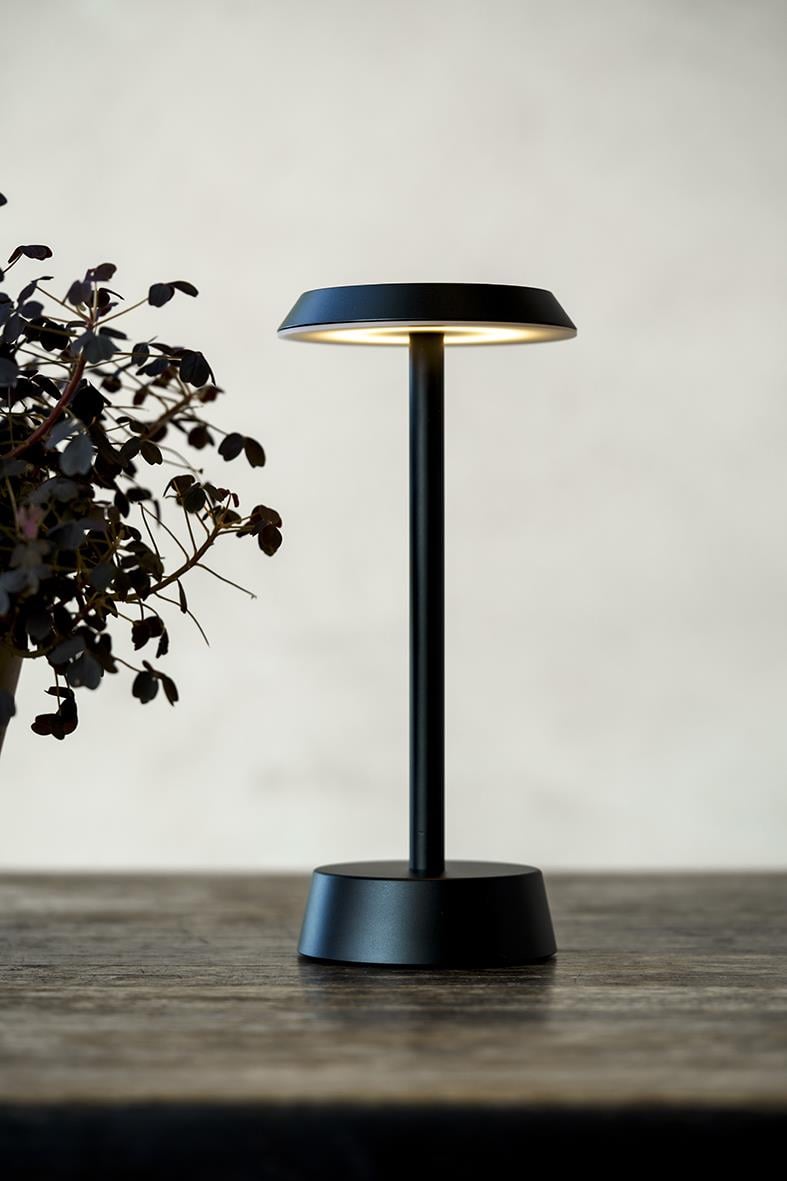 Bordslampa LED Duni Nour grafit på ett träbord med växt till vänster