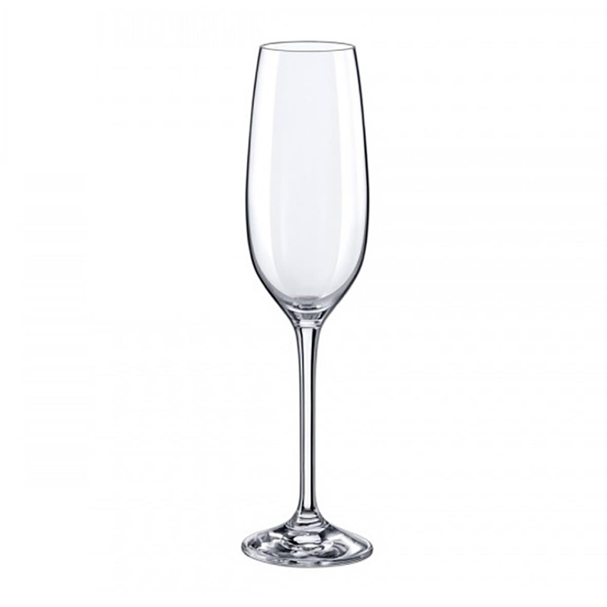 Champagneglas Rona Yarra Ø43x230mm 20cl 66020051