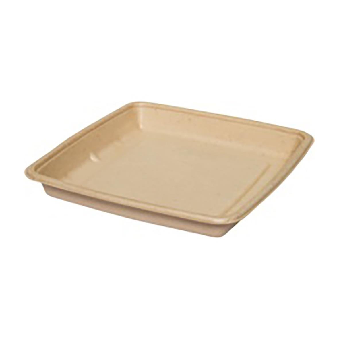 Form Bagasse 1000ml 23x23x3cm