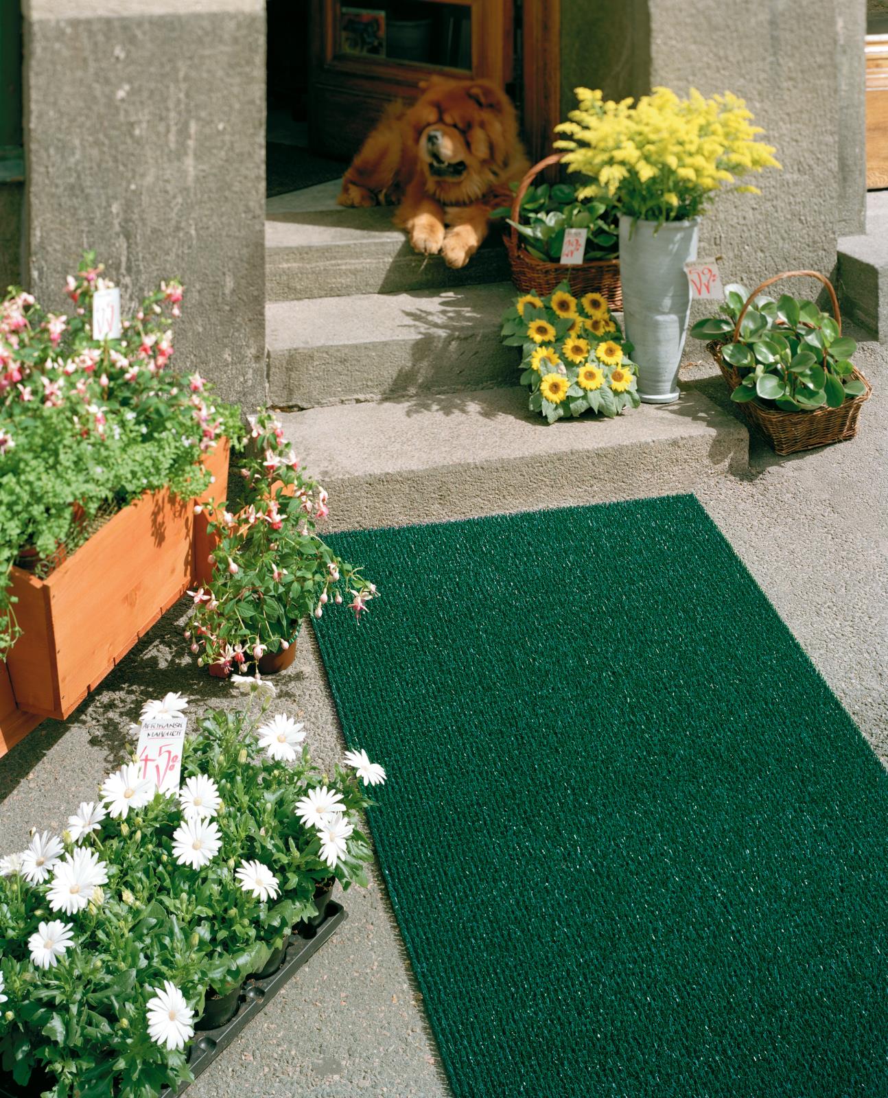 Grön skrapmatta framför ytterdörren med blommor och en hund på trappan