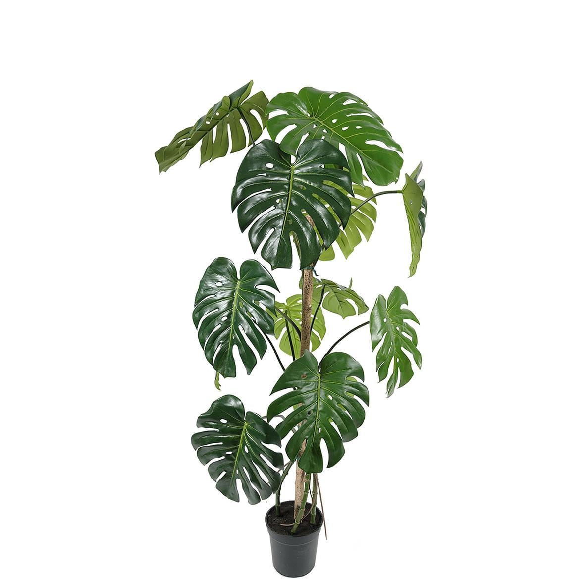 Konstgjord monstera växt H1500mm med stora gröna blad i svart kruka