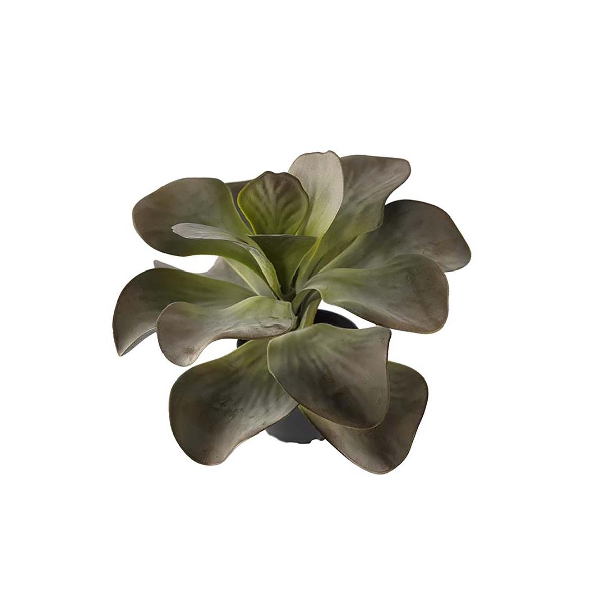 Konstgjord växt Kalanchoe med gröna och mörkgröna blad