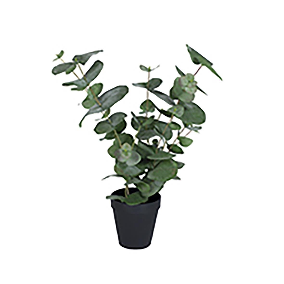 Konstgjord eucalyptusväxt i svart kruka, höjd 500mm
