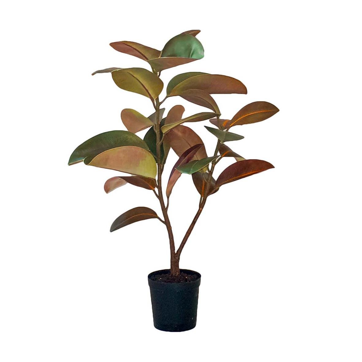 Konstgjord fikusväxt Elastica, höjd 900mm i svart kruka