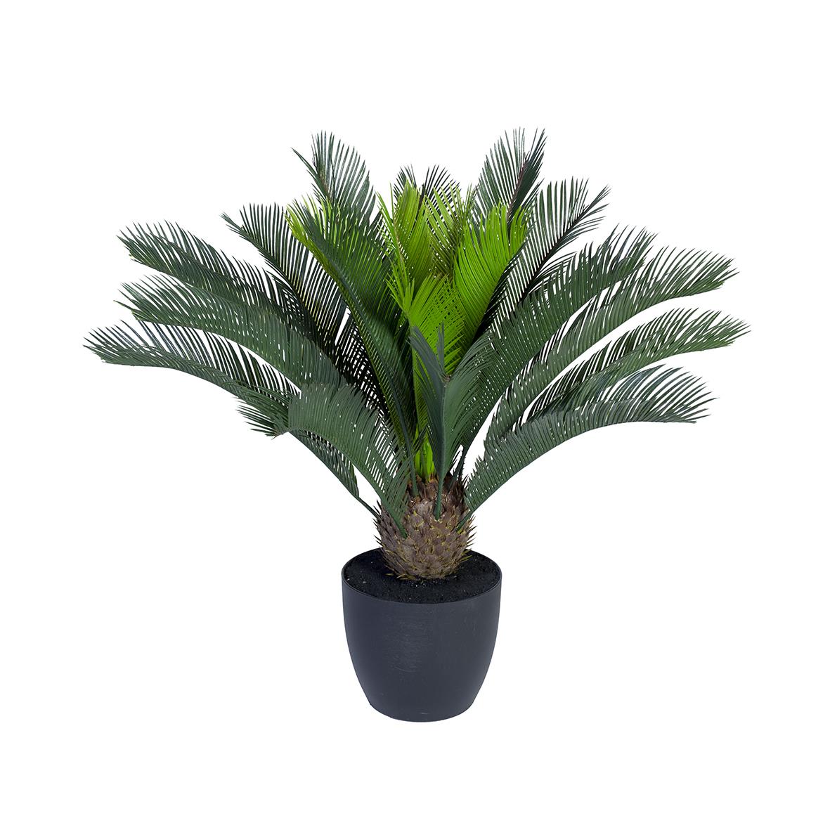 Konstgjord Cycas palm i svart kruka, höjd 700mm