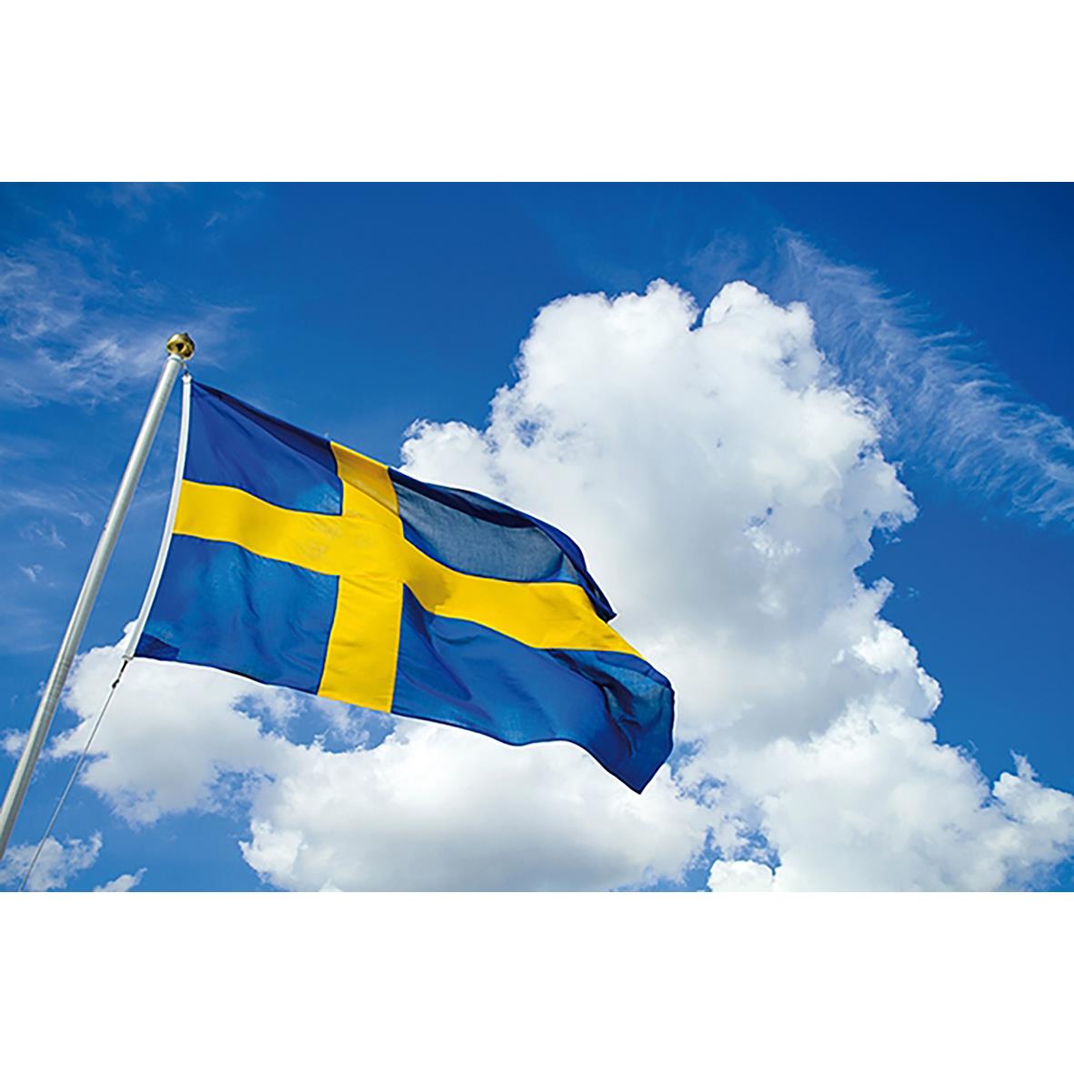 Svensk flagga i blått och gult vajar mot en molnig himmel