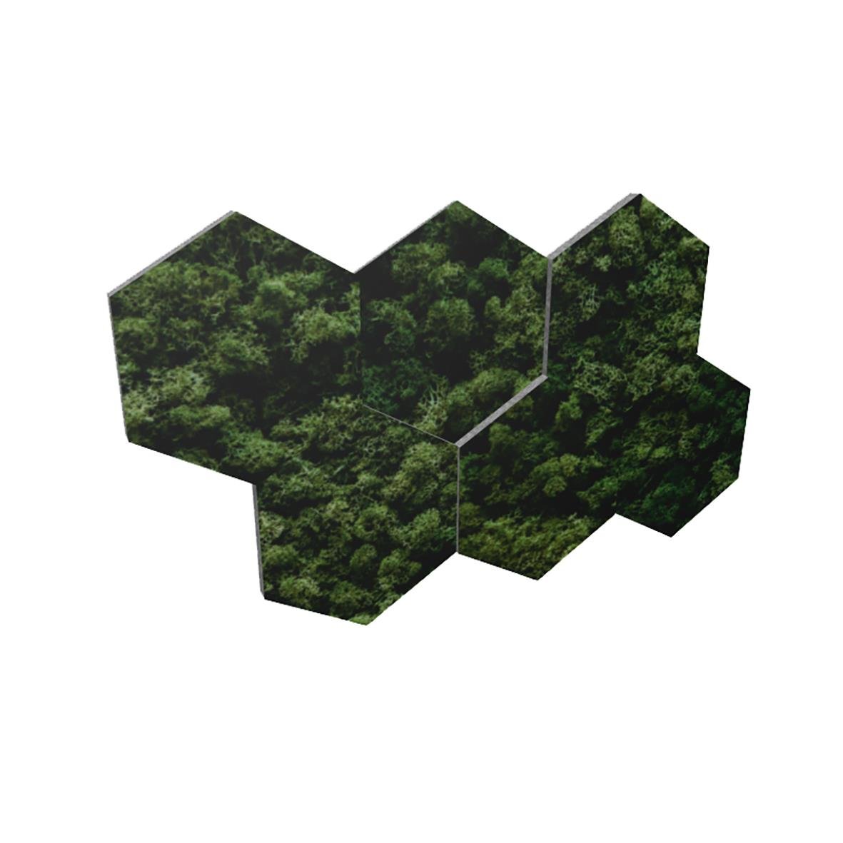 Ljudabsorberande Honey 6-pack mossfärgade ljuddämpande paneler i hexagonform