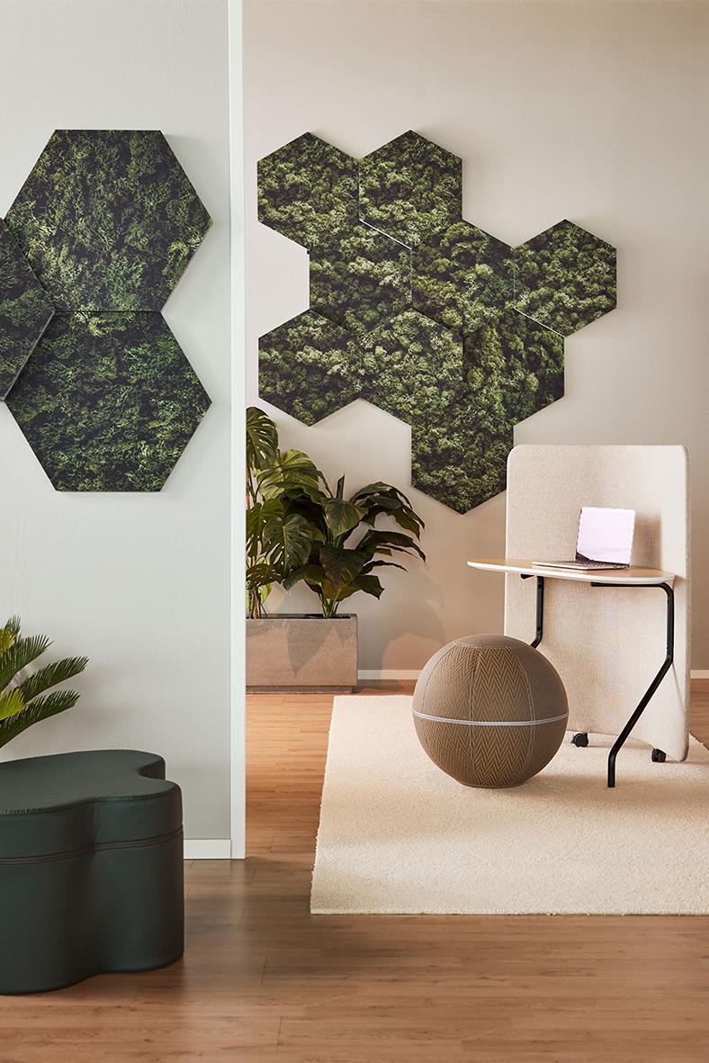 Ljudabsorbent Honey 6-Pack Moss väggpaneler i hexagonform i ett modernt kontorsutrymme