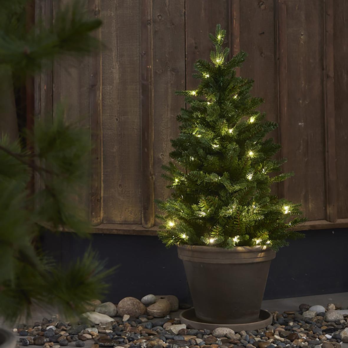 Liten julgran i kruka med 50 LED-lampor, 90 cm hög, utomhus mot trävägg
