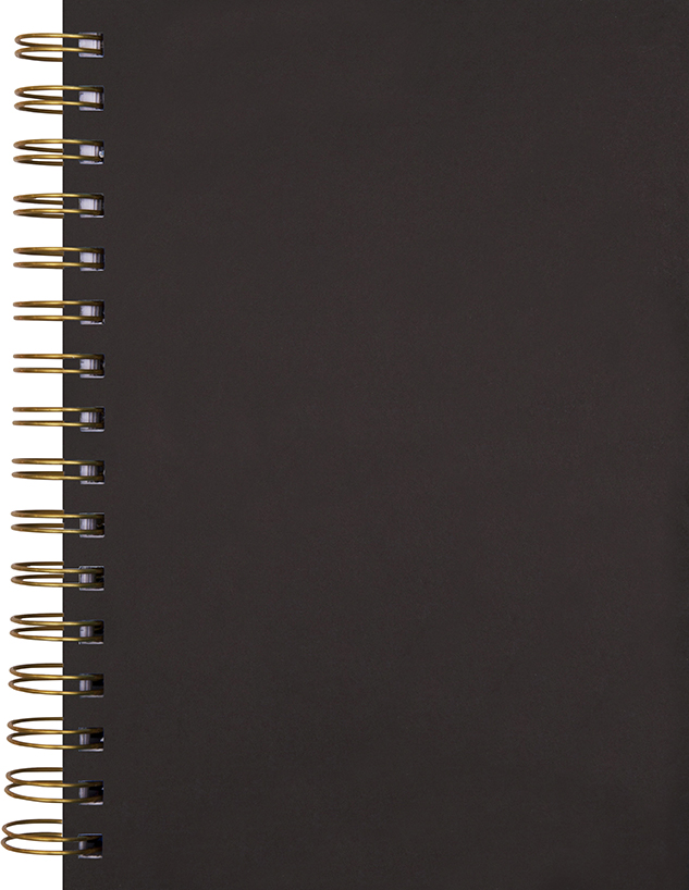 Anteckningsbok spiral linjerad Svart A5 10181971