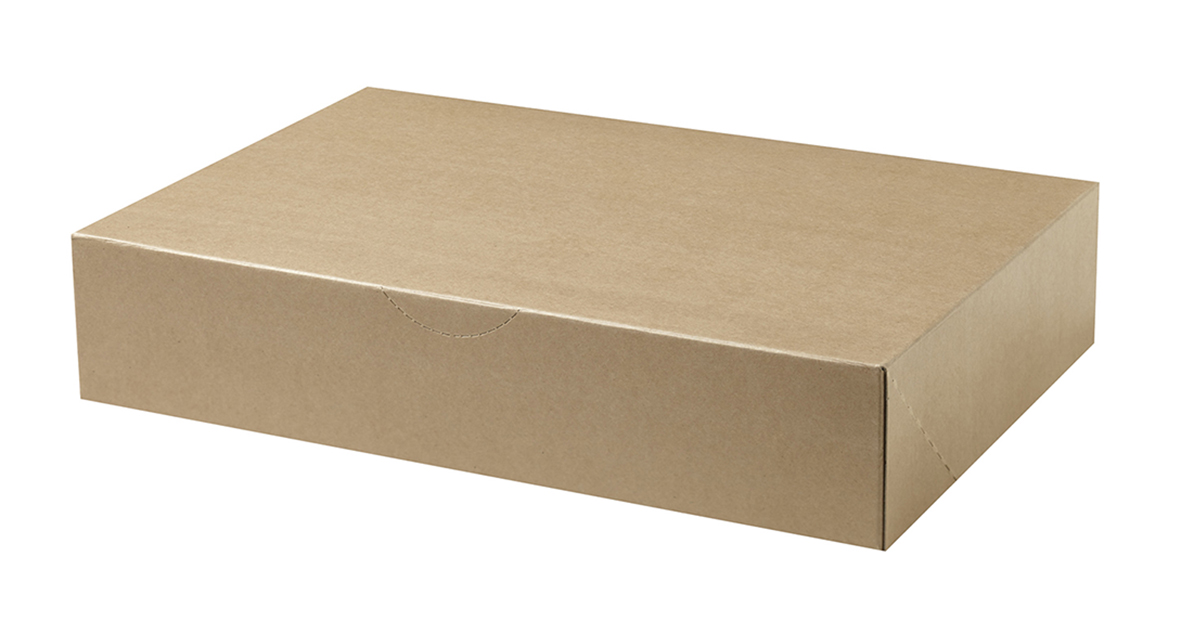 Arkivbox SS628107 för A4 brun 240x55x315mm 11220025