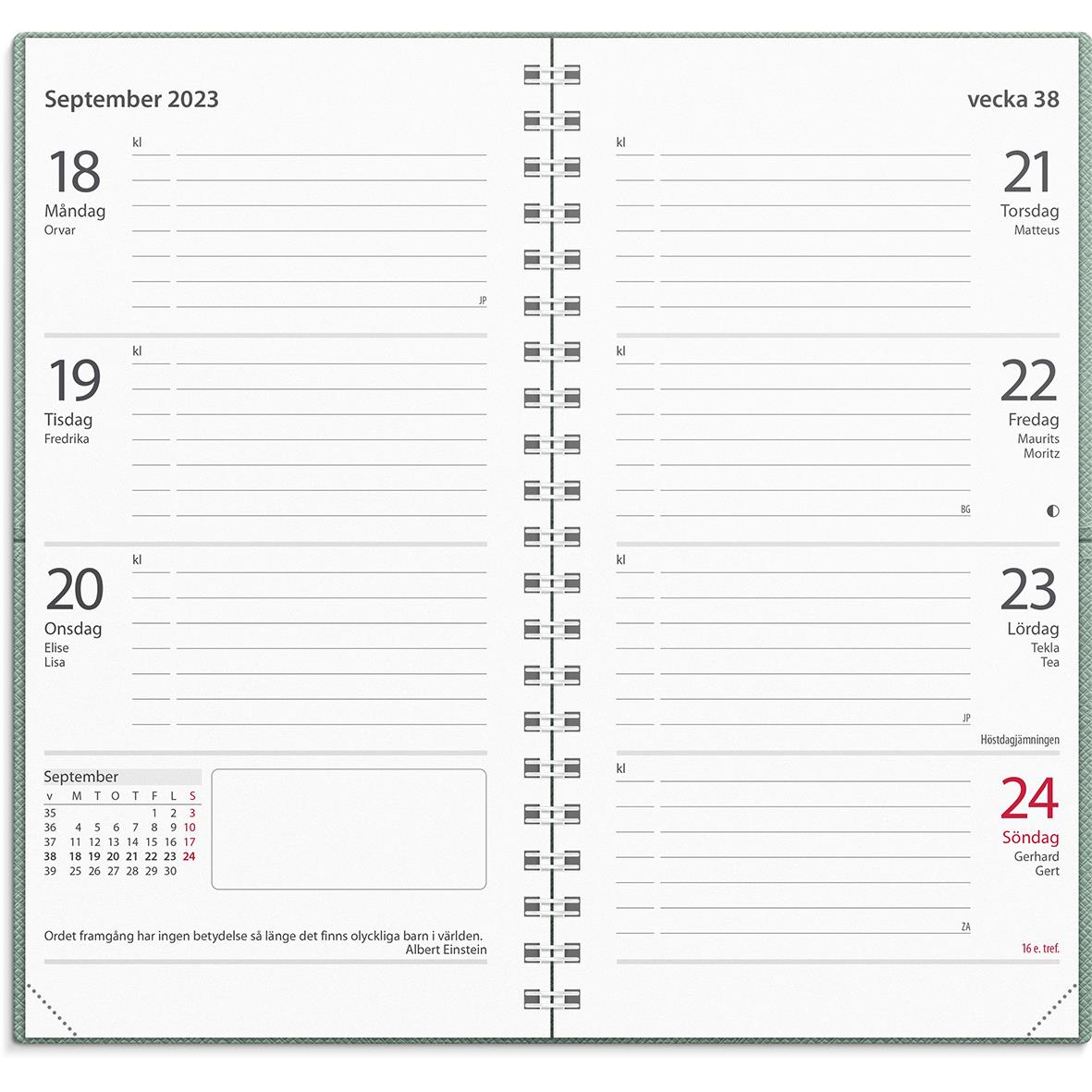 Almanacka Burde 3667 Master Konstläder Alpha 2023 Rosa 16020385_2