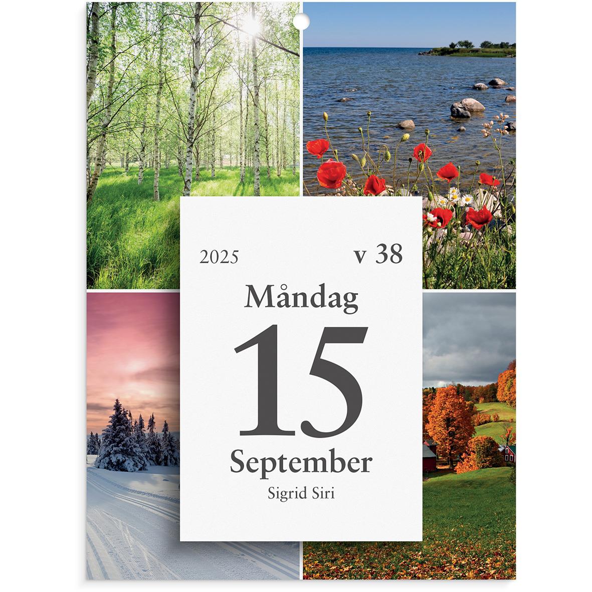 Almanacka Burde 1301 Väggplån med dagblock Årstiderna 2024 16030190