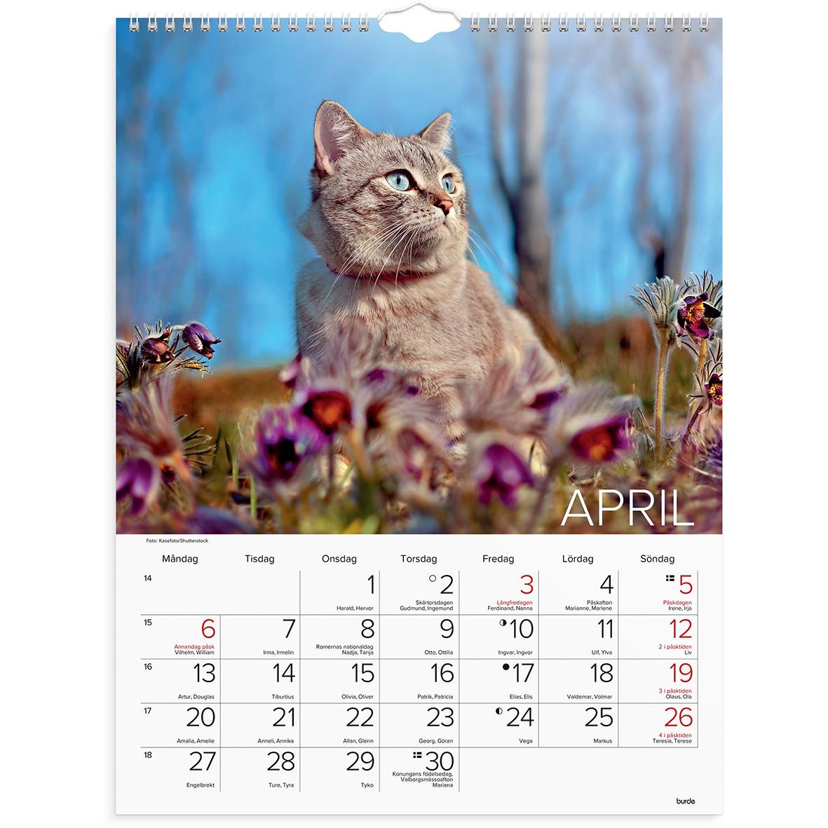 Väggkalender 1775 Katter 2021 16030230_2