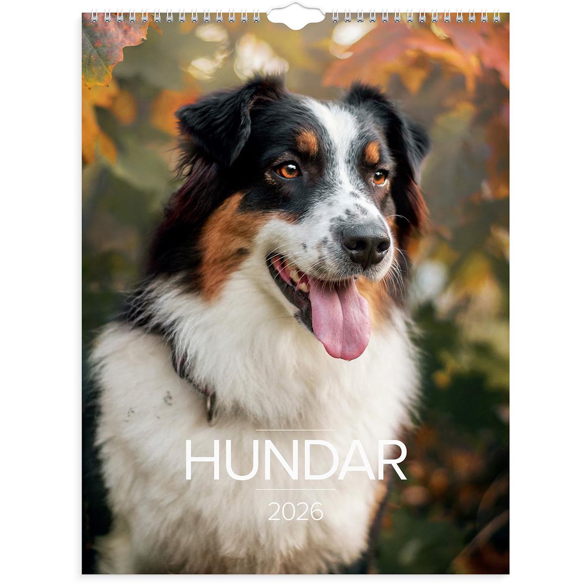 Väggkalender 1777 Hundar 2021 16030232_1