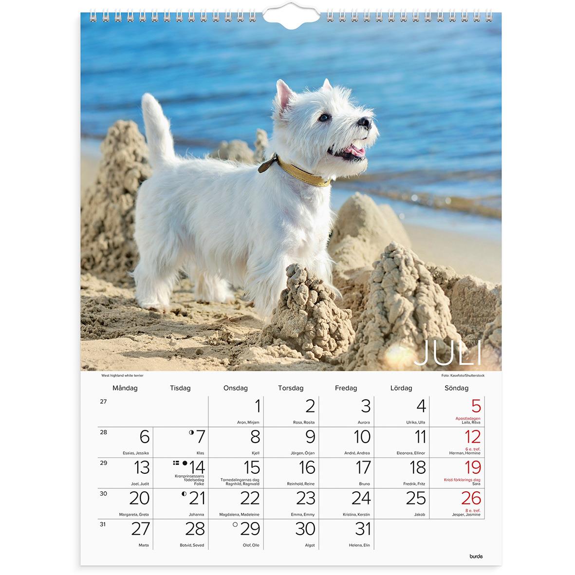Väggkalender 1777 Hundar 2021 16030232_2