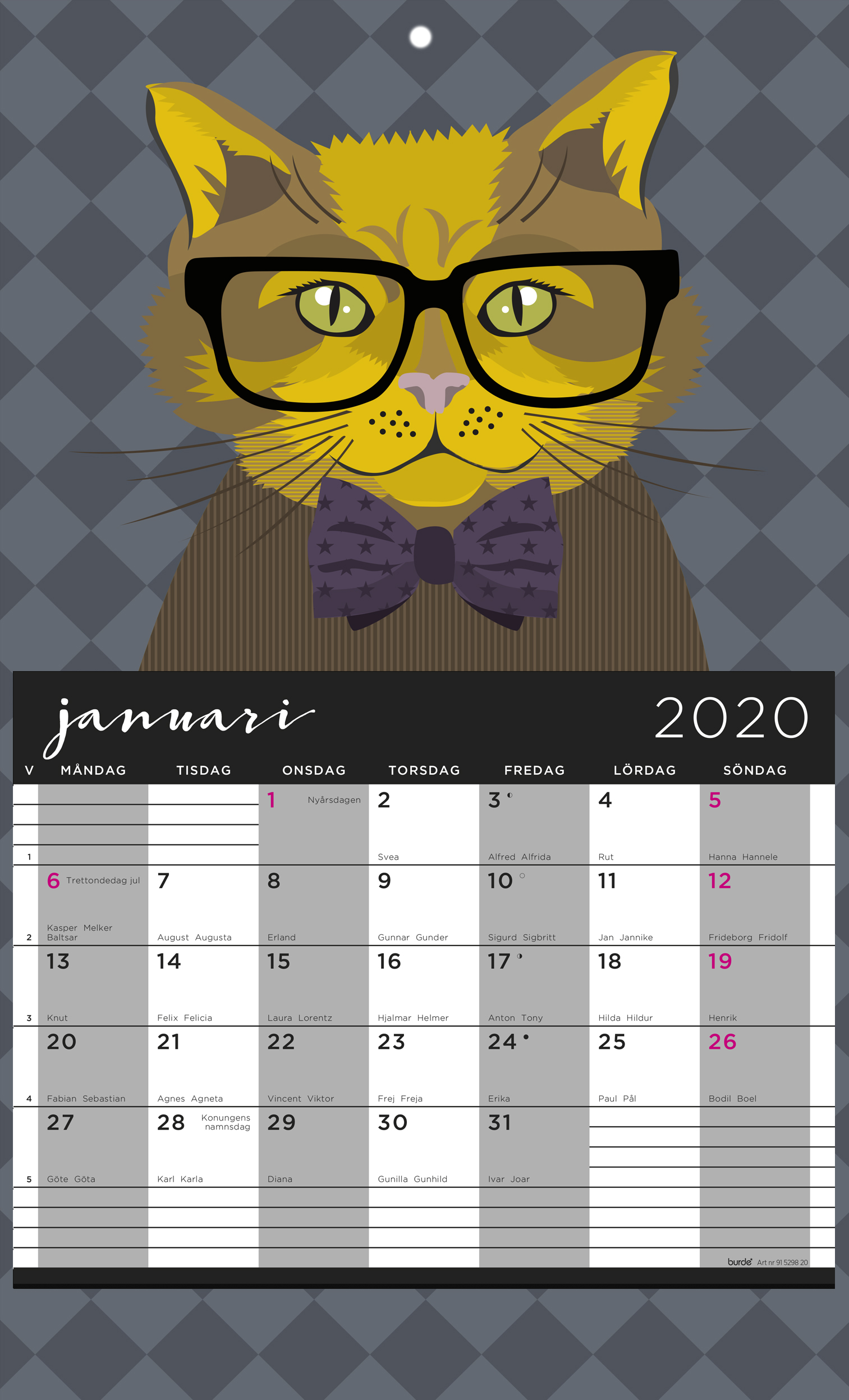 Väggkalender 1326 Katt med månadsblock 2020 16118846