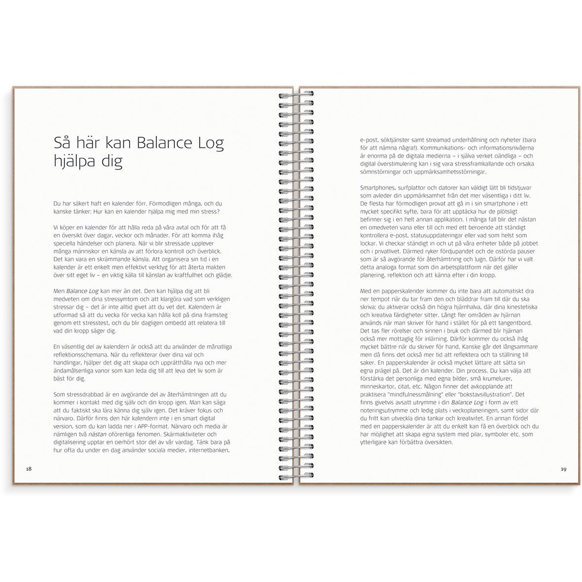 Almanacka 1049 Balance log 2021 16141462_4