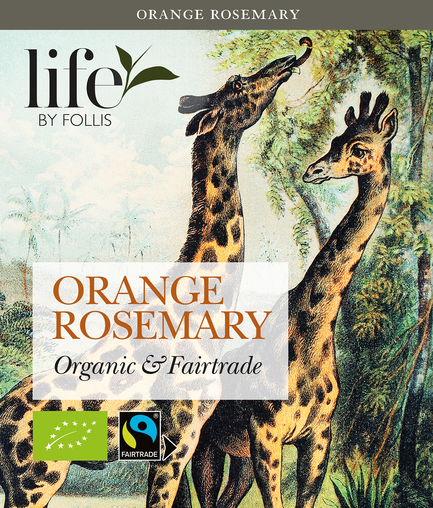 Svart te Life by Follis Apelsin rosmarin 60110026_2