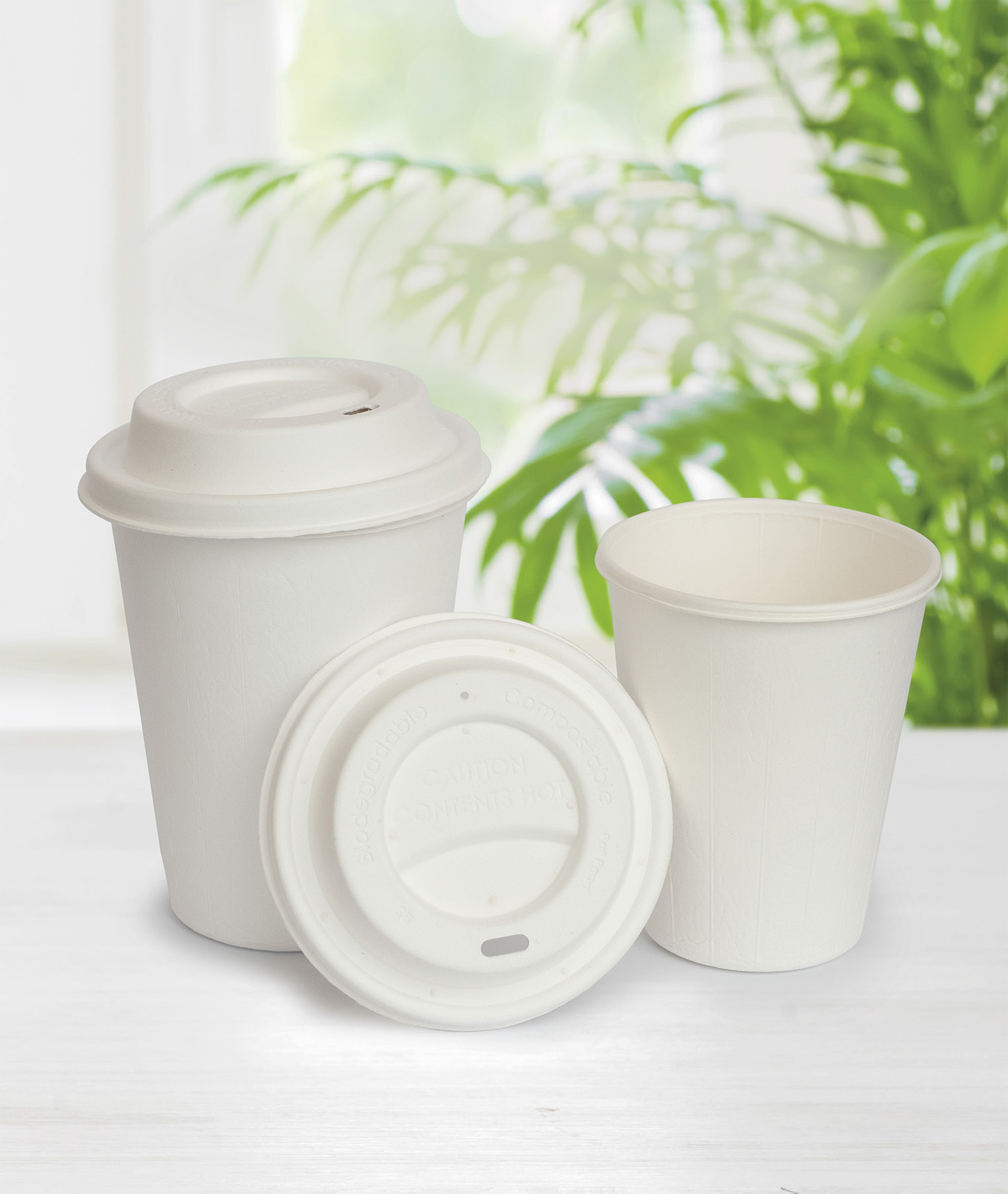 Pappersmugg Bagasse Vit 24cl 61020279_2