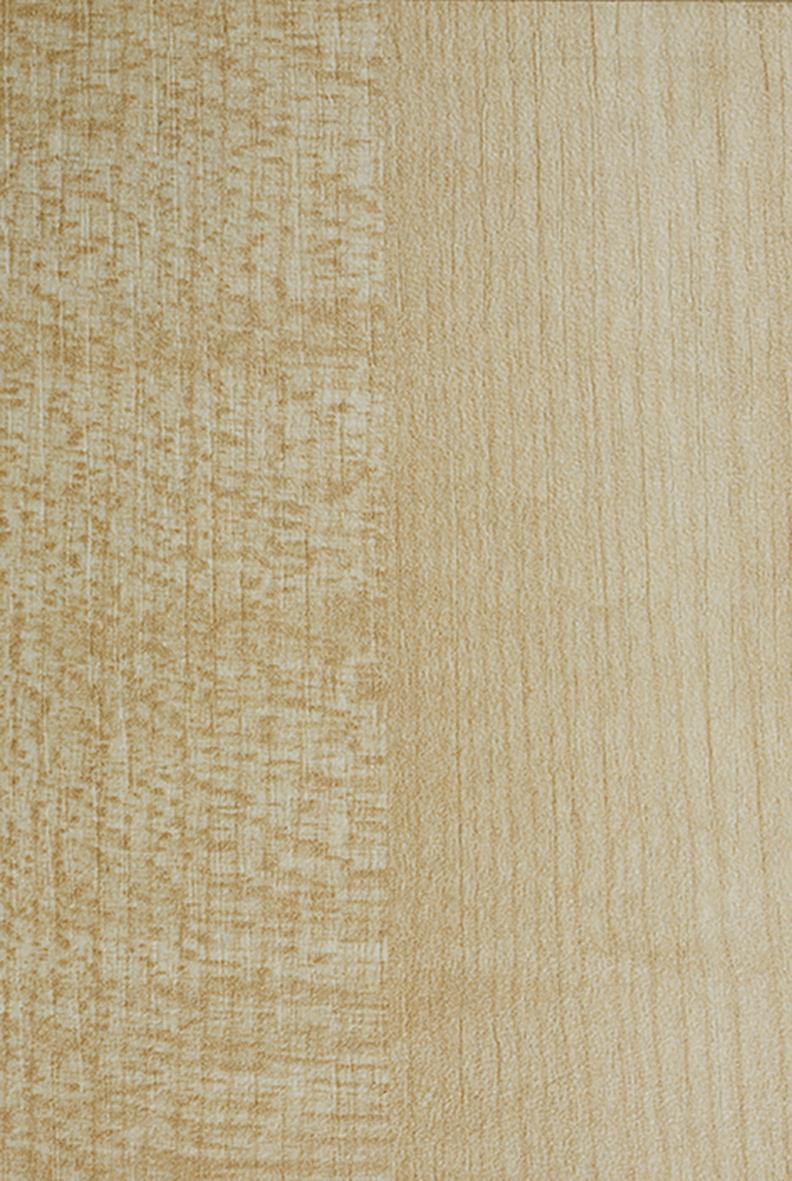 Bordsskiva Lanab Laminat Björk 1800x800mm 70508708_2