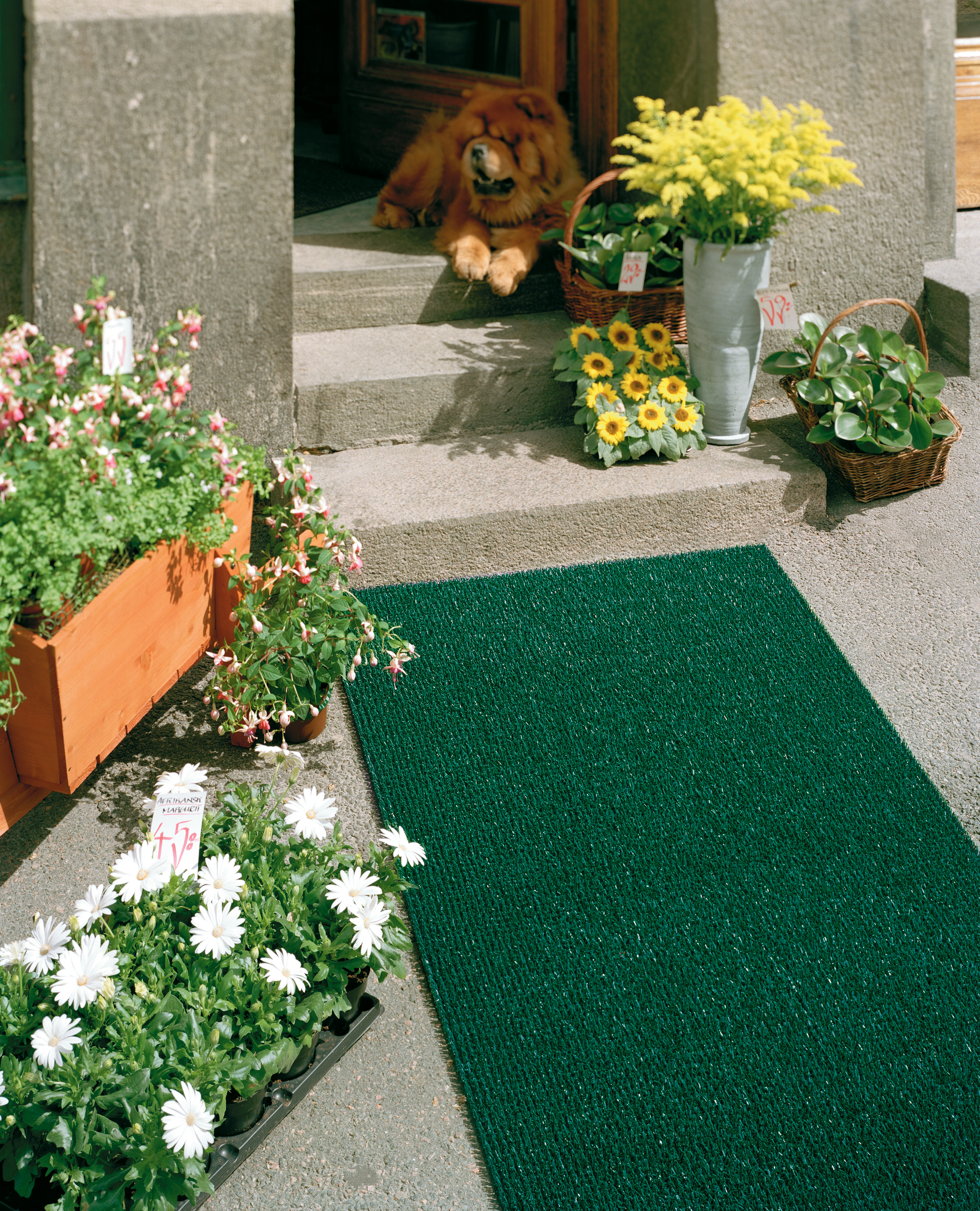 Skrapmatta Matting Astro Turf 55x90cm 71100001_3
